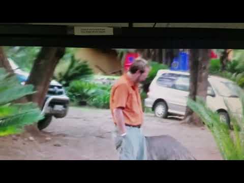 Chris the World Traveler's Adventure