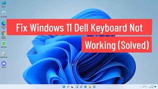 Fix Windows 11 Dell Keyboard Not Working (Solved)