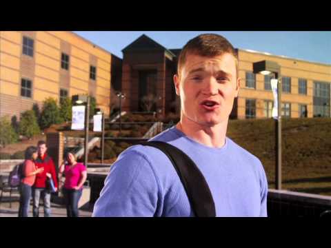 Paragon Awards - Commercial Series