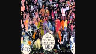 Acid Mothers Temple - Man on the Holy Mountain