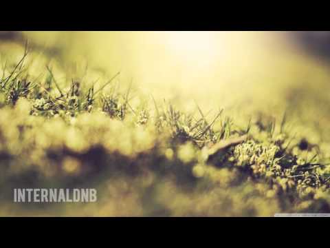 Stumbleine -Tremolo