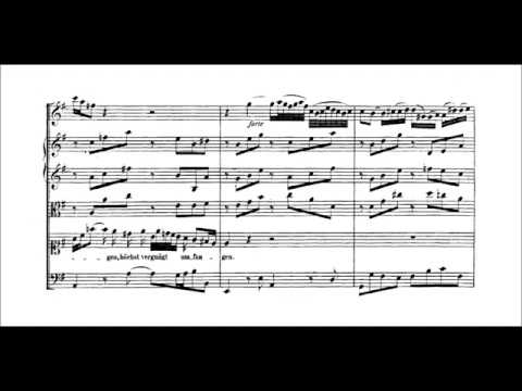 SP's score videos
