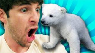 POLAR BEAR IN OUR MAIL?!