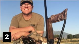 Another Great Dove Hunt | Utah Dove Hunting 2022