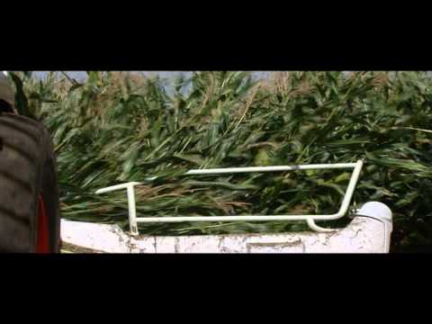 CLAAS JAGUAR 980 / 2008