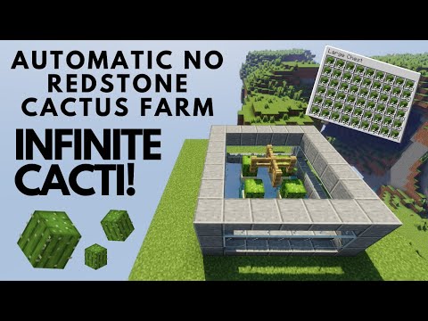 Minecraft 1.18 | EASY AUTOMATIC NO REDSTONE CACTUS FARM | Java & Bedrock | INFINITE CACTI!
