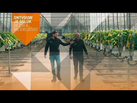 Ontmoet onze makers | Genson Group | Sint - Oedenrode