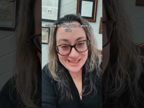 This is ILLEGAL in Tennessee❗️ #lawyer #workerscompensation #ny #legal #illegal #crazylaws #attorney