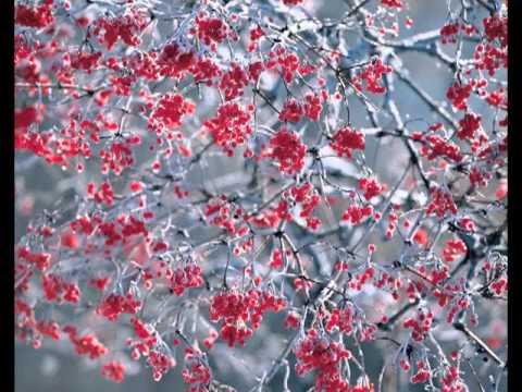 Radio Japan Opening Theme 70's