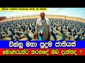 චීන්නු මොණරුන්ට කරනදේ ඔබ දැක්කද Here Is What C