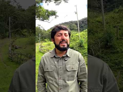 PURA VIVÊNCIA RURAL