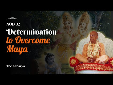 Determination to Overcome Maya | Srila Prabhupada | NOD 32