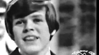Herman&#39;s Hermits   There&#39;s A Kind Of Hush 1967