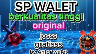 Download lagu Suara panggil burung walet mp3