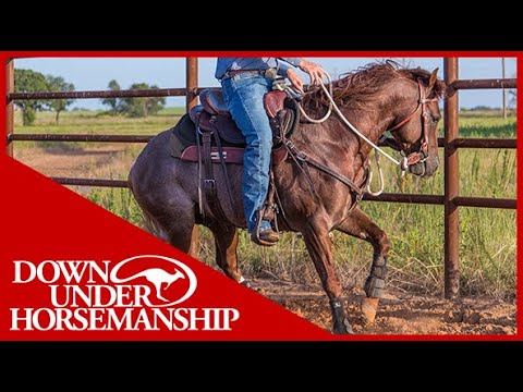 Clinton Anderson: Working With Hot and Busy-Minded Horses - Downunder Horsemanship
