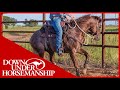 Clinton Anderson Working With Hot And Busy Minded Horses Downunder Horsemanship