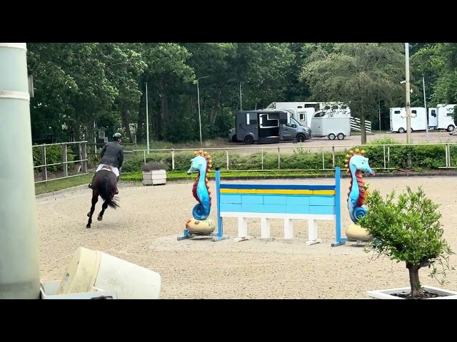 show video