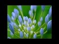EN MALARUM NINAIIVUGAL THITHTHIPPATHU ETHU ATHUVO THATTUNGAL THIRAKKA PADUM AUDIO