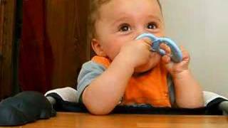 Chico et anneau de dentition