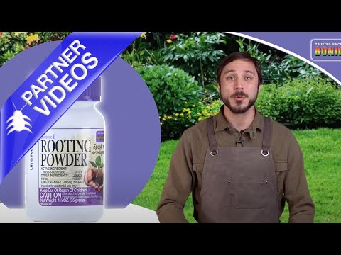  Bonide Rooting Powder Video 