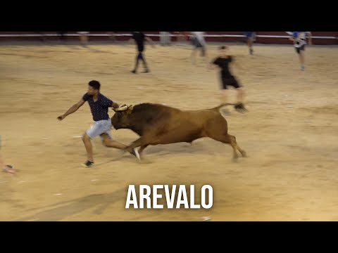 Arevalo 2024 Encierro y Capea Día 10