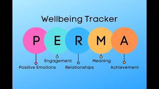 Task PERMA wellbeing tracker overview