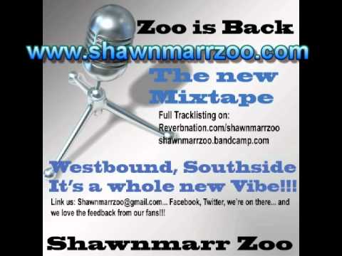 In the Streets - Hundred PNP (Shawnmarr Zoo)