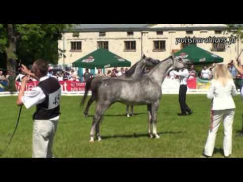 Białka 2008 - Kabsztad