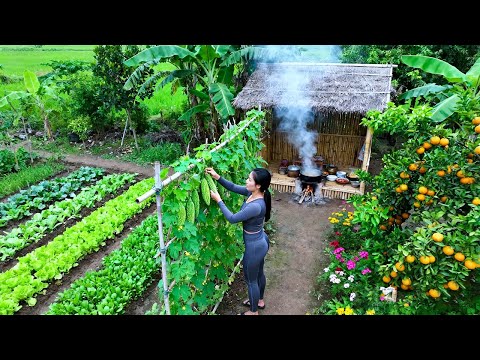 Country Life: Harvesting Bitter Melon in My Garden and Cooking Delicious Stuffed Bitter Melon Recipe