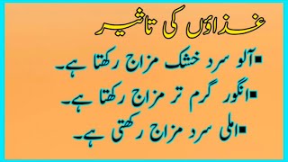 Aaj ki ashi Baat Thandi Taseer Food List in Urdu | Thandi Taseer Wali Cheezain | By Essay Home