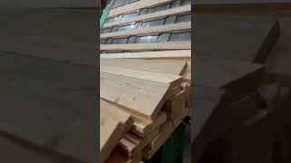 We can salvage burnt trees if we get to them quickly. #forestregeneration #forestland