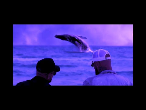 Drinking Pains by Who TF is Justin Time? & Larry Dale Reed (Official Music Video)