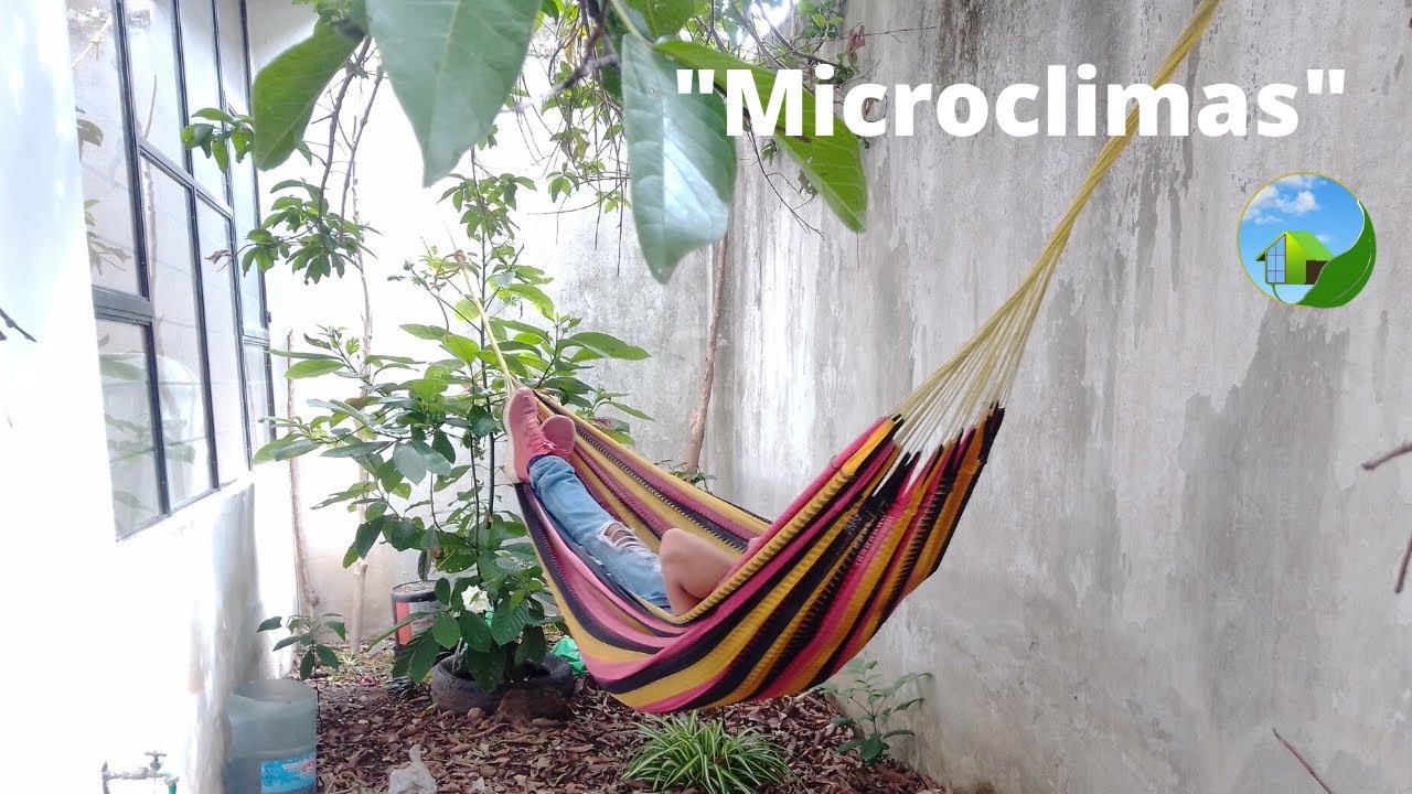 ¿Qué es el clima y el microclima? ES General