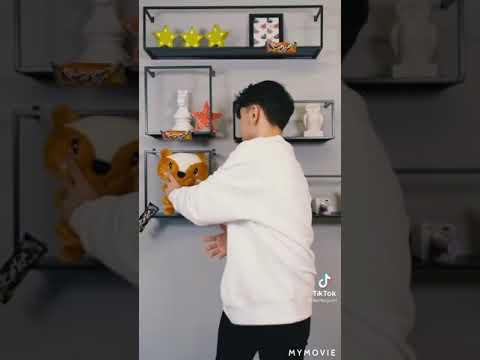 Berke Juan tiktok vidyolari