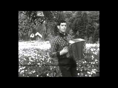 Franc Delčnjak-Spomin s hribov