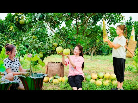 Full Video 30 Days Go To Market Sell - Harvest mushrooms, harvest bamboo shoots | Thảo bushcraft