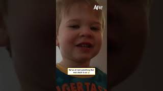 AFV Short Form 030926 Clip 27 How'd it get up there though