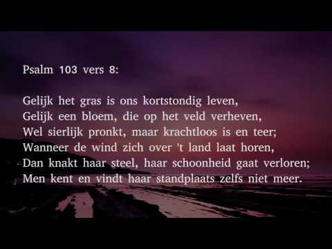 Psalm 103 vers 8 en 9 - Gelijk het gras is ons kortstondig leven