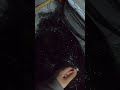 Video Thumbnail for Monster Midnight Walleye Ice Fishing (Catch & Cook)
