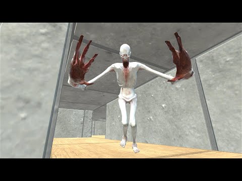 SCP-096 Maze Chase - ARBS