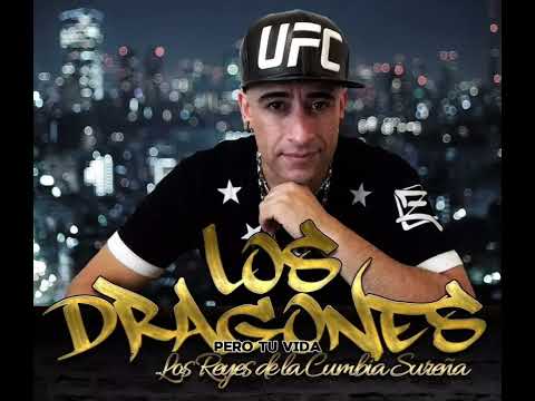 Por Volverte A Ver - Los Dragones