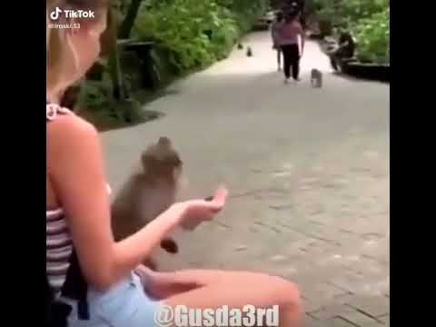 Funny Video Status from INW -  7