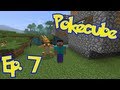 Pokecube | ep.7 | Episodio EPICO 