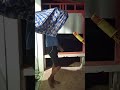 Bocah Colmek Padahal Ngga