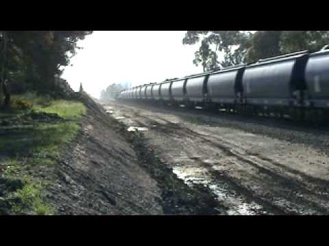 Elzorro grain train at Moorabool