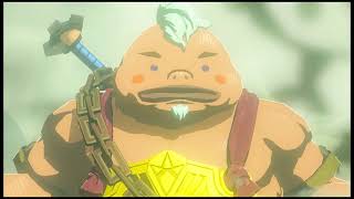 The Legend of Zelda: Tears of the Kingdom 【today's stroll】day6①：ゼルダの伝説　ティアーズオブザキングダム【今日の散歩】6日目①