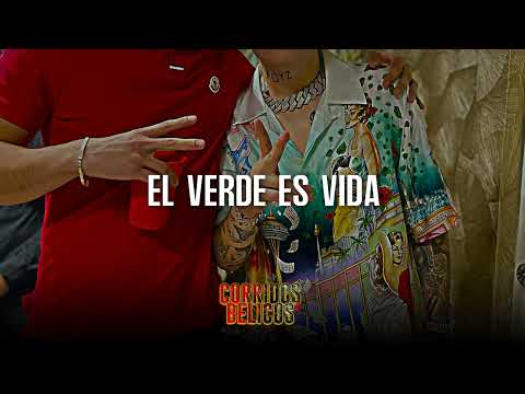 Los Chavalitos, Herencia de Grandes - El Verde es Vida, El Corrido del Vic - MIX Exitos 2025