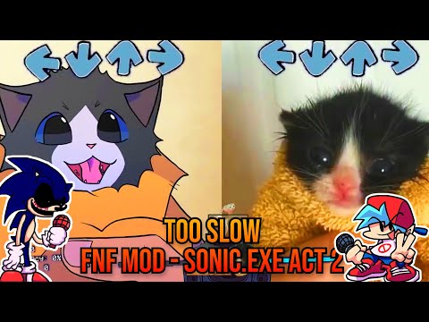 TooSlow Sonic.EXE BUT Towel Cat VS ANIMATED TOWEL Cat? - FNF Animation