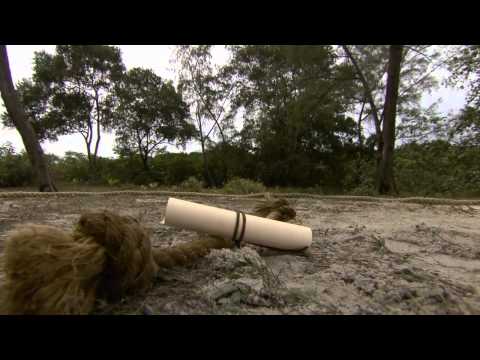 Robinson Love Edition   Edens lustgård Avsnitt 8