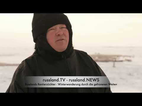 Russlands Rentierzüchter: Winterwanderung durch die gefrorenen Weiten